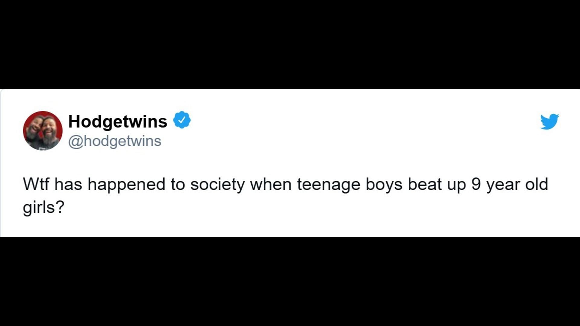 Netizen's reaction (Image via X/@hodgetwins)